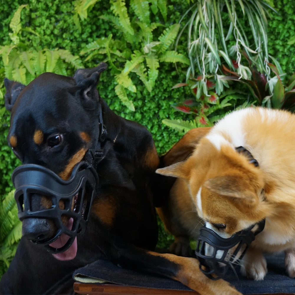 Высококачественный ТПЭ предотвращает укусы, снимает лай, прикрывает наморду собаки