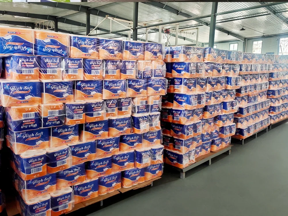 12 rolls hot sale in USA market high soft toilet paper dot embossing 2 ply toilet paper soft toilet paper