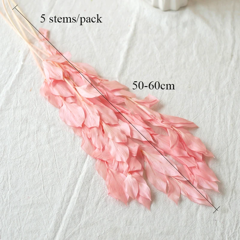 Ruscus Leaves Dried Flower Arrangements Decoration Natural Preserved Flowers Bleached Orange Leaves Italian Israel Ruscus Leaves