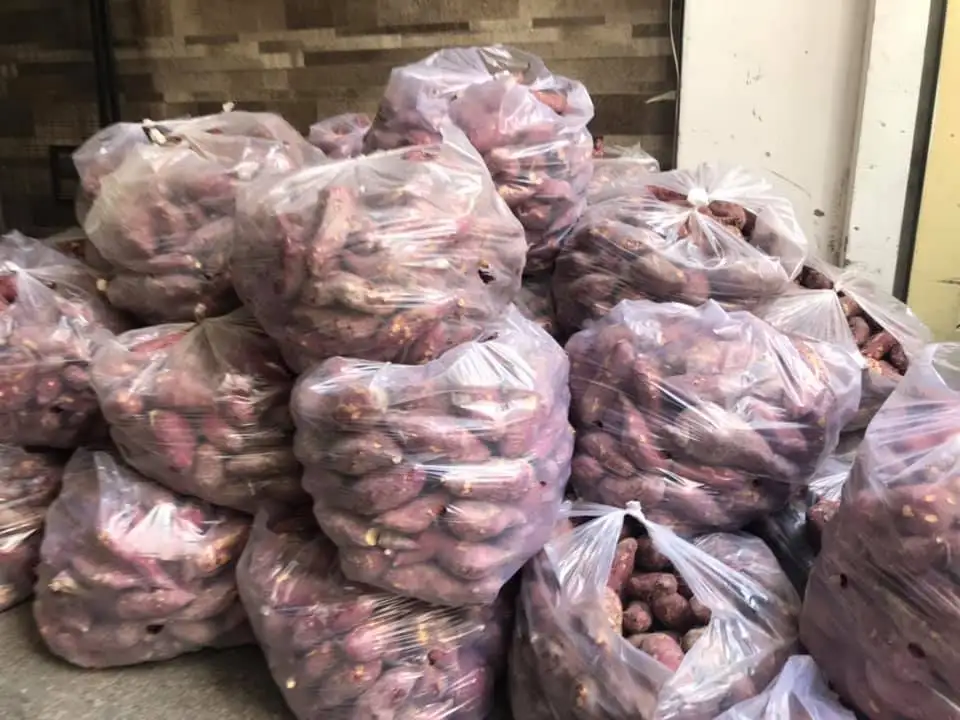 {HOT - SALE} - Fresh Sweet Patato/ High quality cheap fresh organic purple sweet potato in Vietnam market