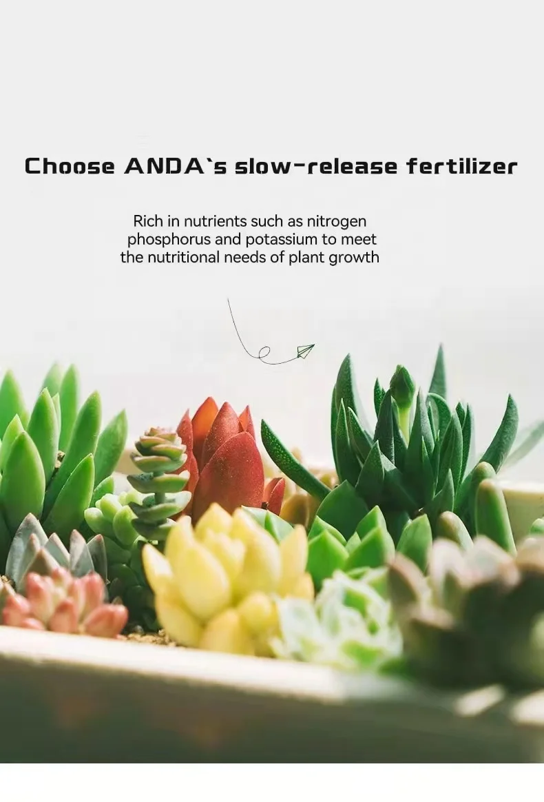 Horticultural Fertilizer Garden Fertilizer Outdoor Vegetables Plant Organic Natural Granular Fertilizer For Hoseplant Use