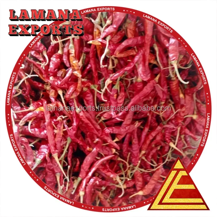 Guntur Dry Red Chilli S17 Teja with Stem Indian Chilli Premium Quality for Thailand