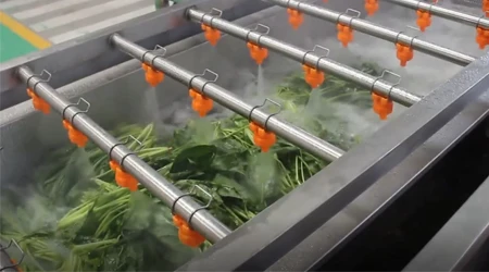  Промышленная воздушно-пузырчатая машина для мытья фруктов и овощей оборудование переработки свежего