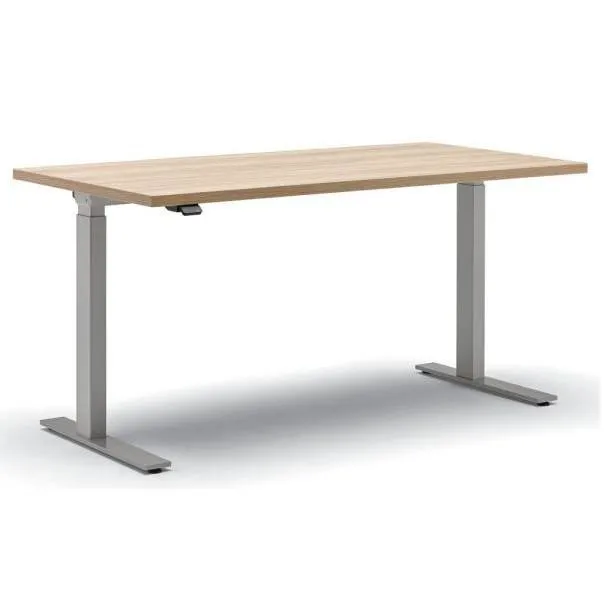 Best Motorized Standing Ergonomic Electric Up And Down Desk Adjustable Height Office Table