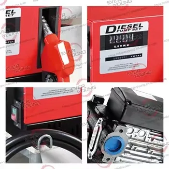 Electric 80 Cube Fuel Dispenser Pump Kits with Meter Nozzle 110v/220v Petrol Pump for Automotive Industry OEM Customizable