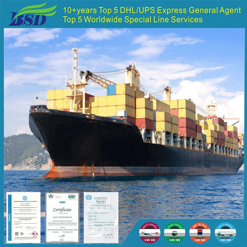 Professional Sea Freight Forwarder From China By Fast Shipping Competitive Price To Other Countries