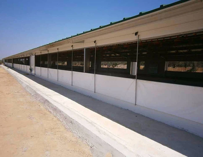 Low Cost Controlled Close Steel Structure Poultry Chicken Farm  Design Shed Breeding Poultry House For Chicken