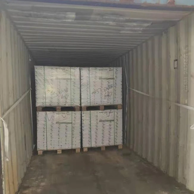 ningbo fold gc1s ivory board/fbb/sbs board