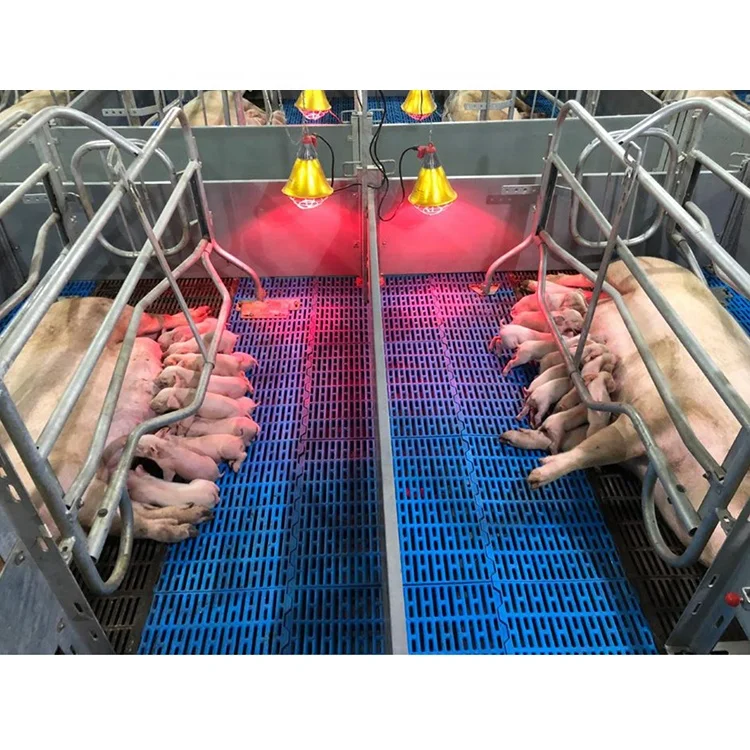 Durable Goat Slat Flooring Sheep Manure Cleaning Floors Pig Plastic Slatted Floor for Pig Sheep Equipment