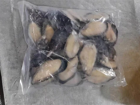 Seafood Mytilus Edulis Good Packaging Mussel Meat Frozen Half Shell Mussel