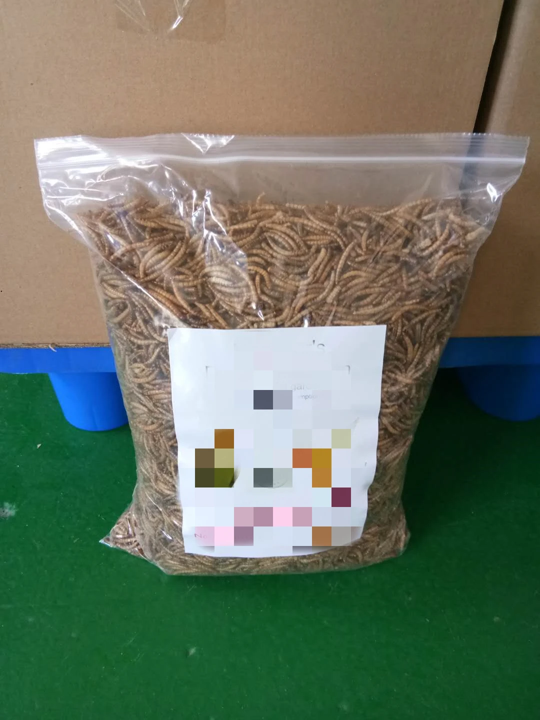 Dried Mealworms animal feed chicken food/feed