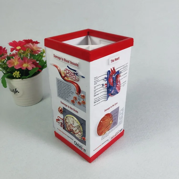 Medical promotion gift anatomy Pen Holder 3d embossed pvc plastic penholder