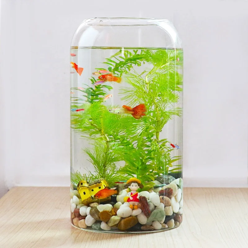 Боросиликатное стекло биодом тропический лес Террариум с пробкой