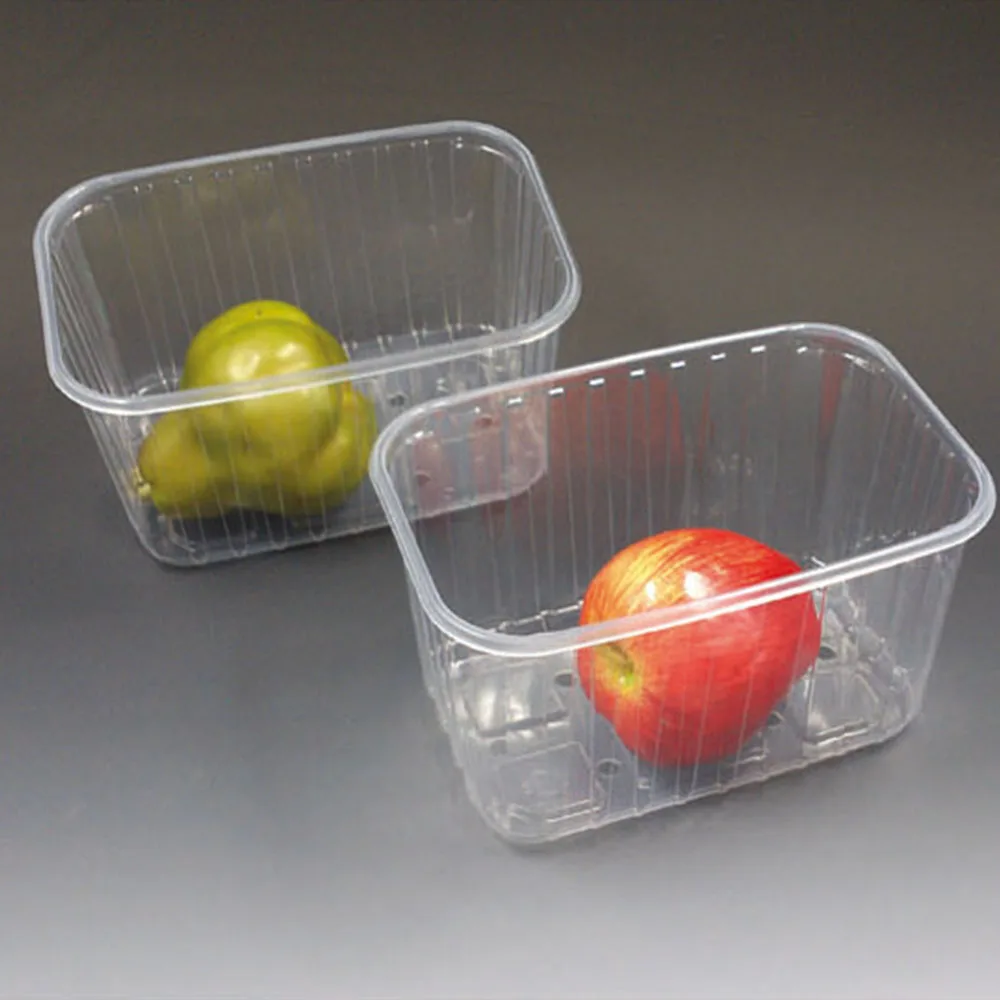 Hotel Buying Request Disposable Plastic Food Container for Fresh Fruit With Lid Biodegradable Plate