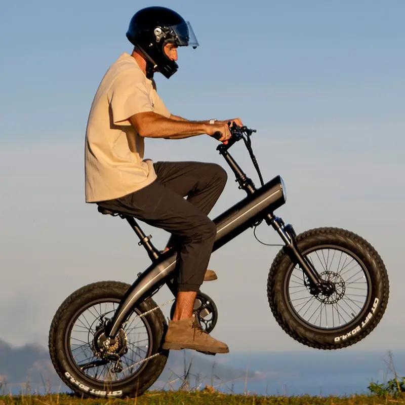 customized e-bike eu usa warehouse 20 inch fat tire 45km/s e mountain bike full suspension e fatbike e dirt bikes for adults