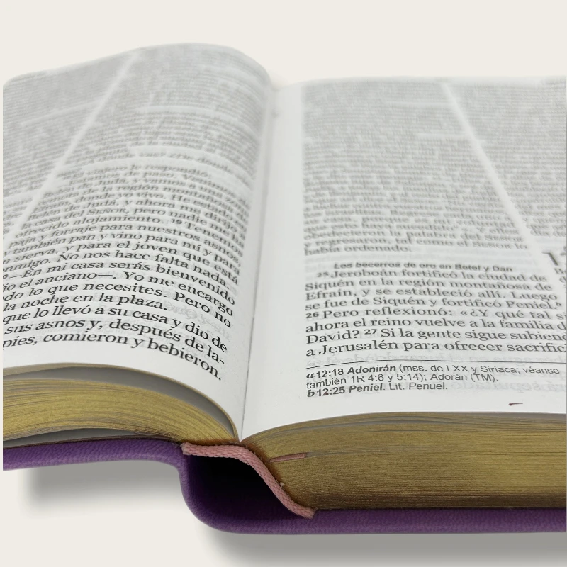 OEM оптовая цена на заказ Библии KJV Библия печать