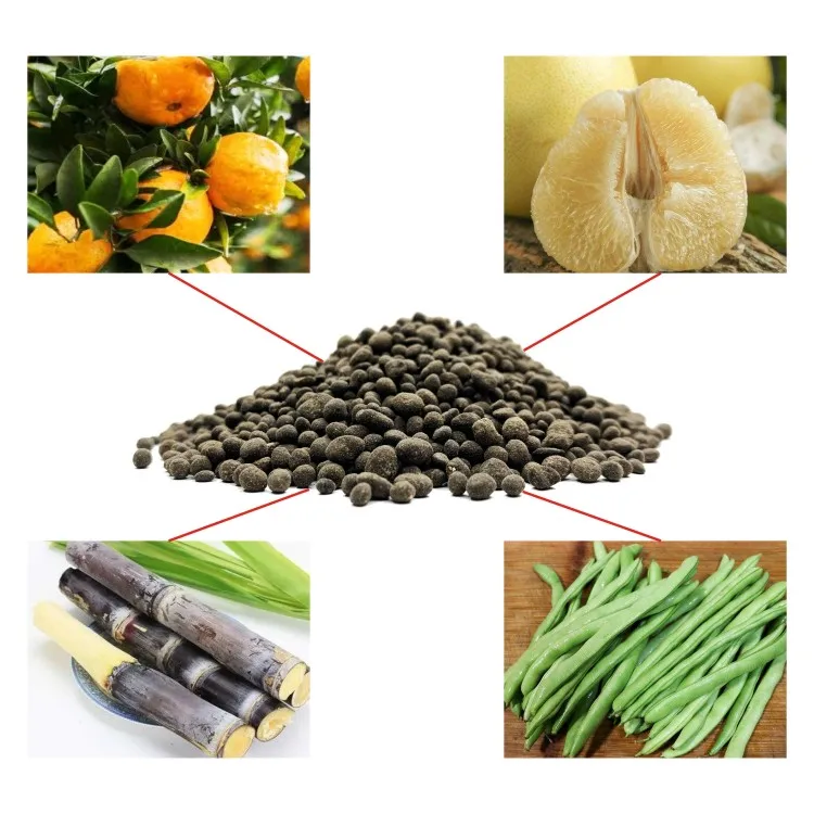China Low Price Granular Quick Release Organic Fertilizer Easy To Absorb Organic Fertilizer