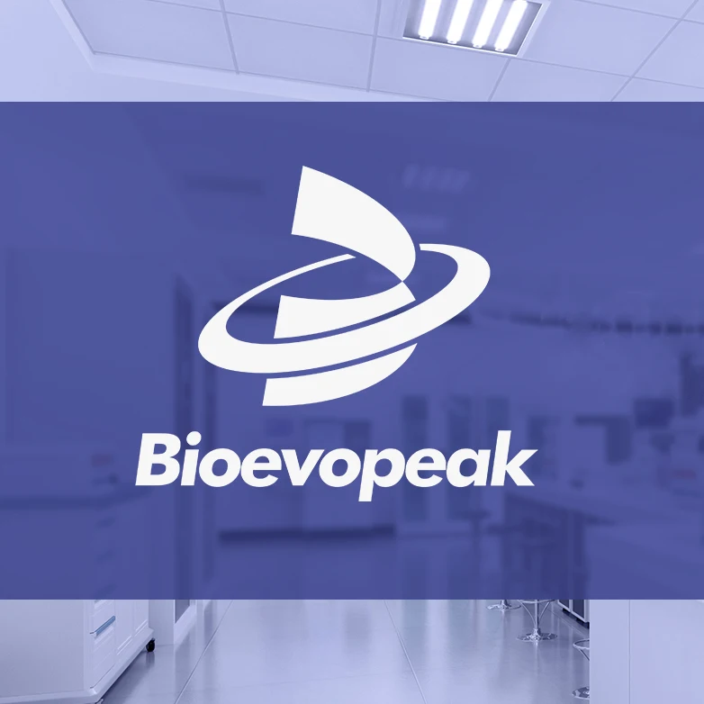 Bioevopeak постоянного 300 тест/час с двойной реагент полностью автоматический биохимический анализатор BA-A-380 медицинский