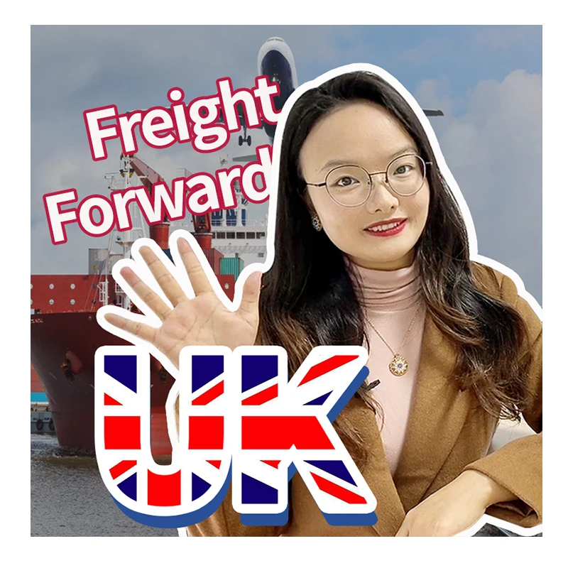 Professional Door to Door DDP Air Shipping Freight Forwarder lcl Sea Freight to USA Canada UK