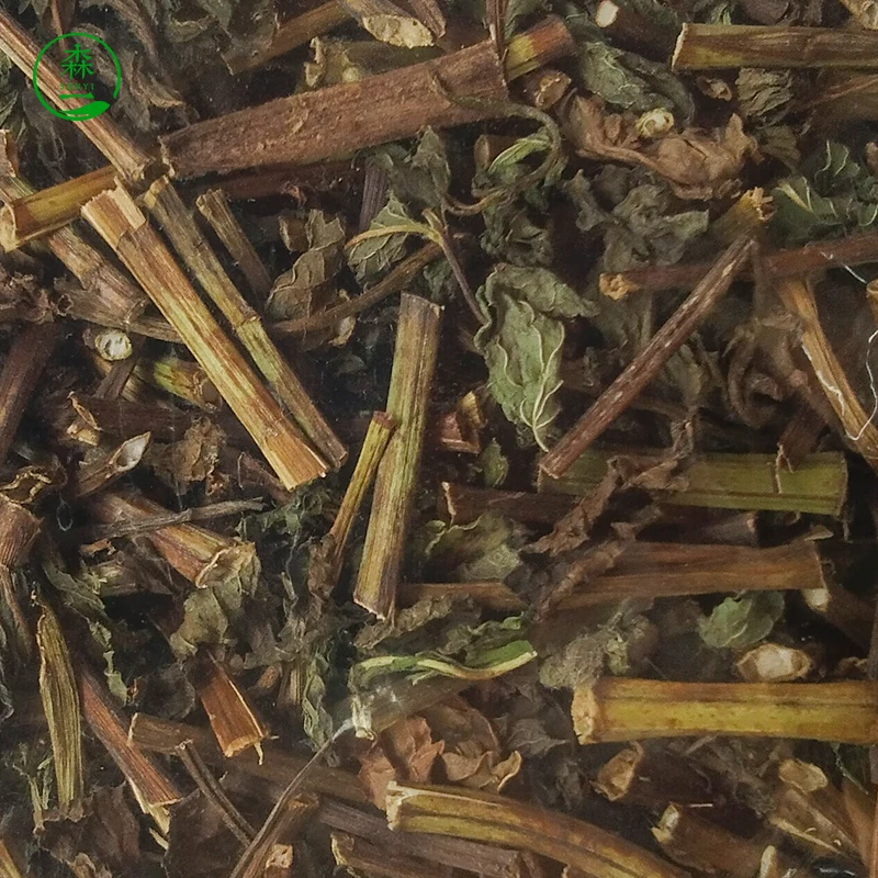 peppermint leaves selected premium grade herbal medicine peppermint branches mint leaves