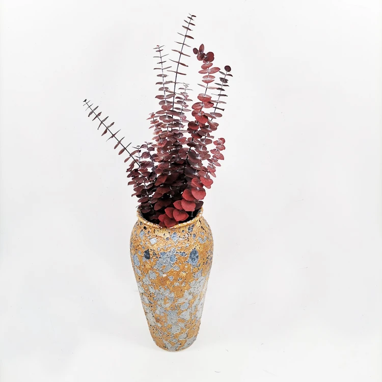 summer flora Original color wholesale Dried natural flower stem for New Year decoration preserved flower eucalyptus