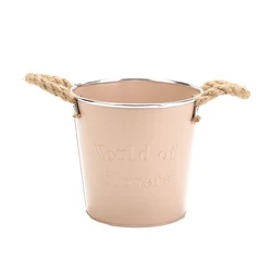 Wholesale small metal bucket garden pot with rope handle for home decoration