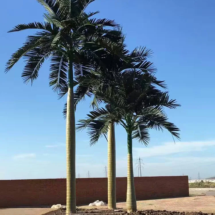 Indoor Outdoor Decoration Wholesale 15Ft 5M Fiberglass Big Artificial King Royal Palm mega Trees For Sale