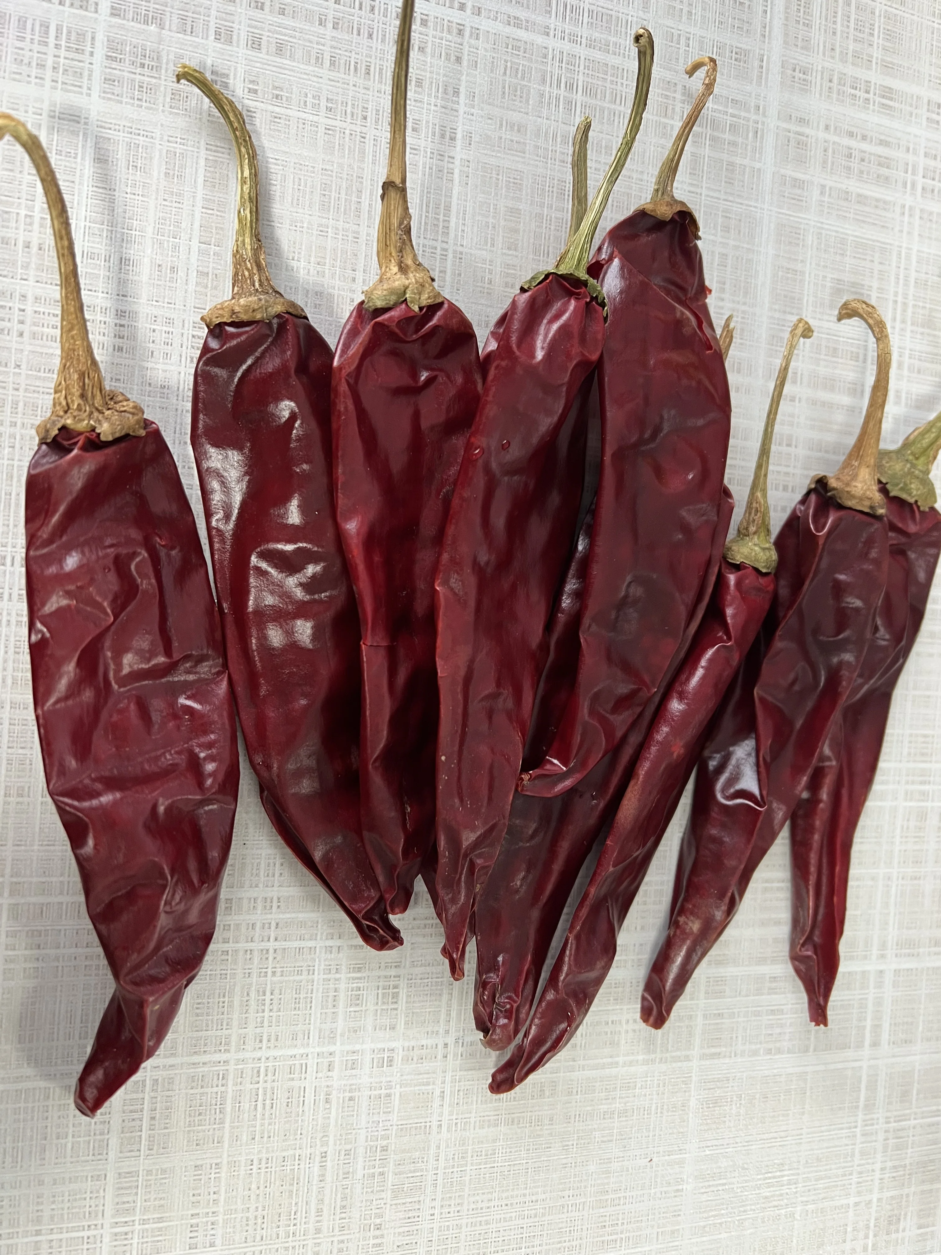 Premium Grade whole Chilli for sale
