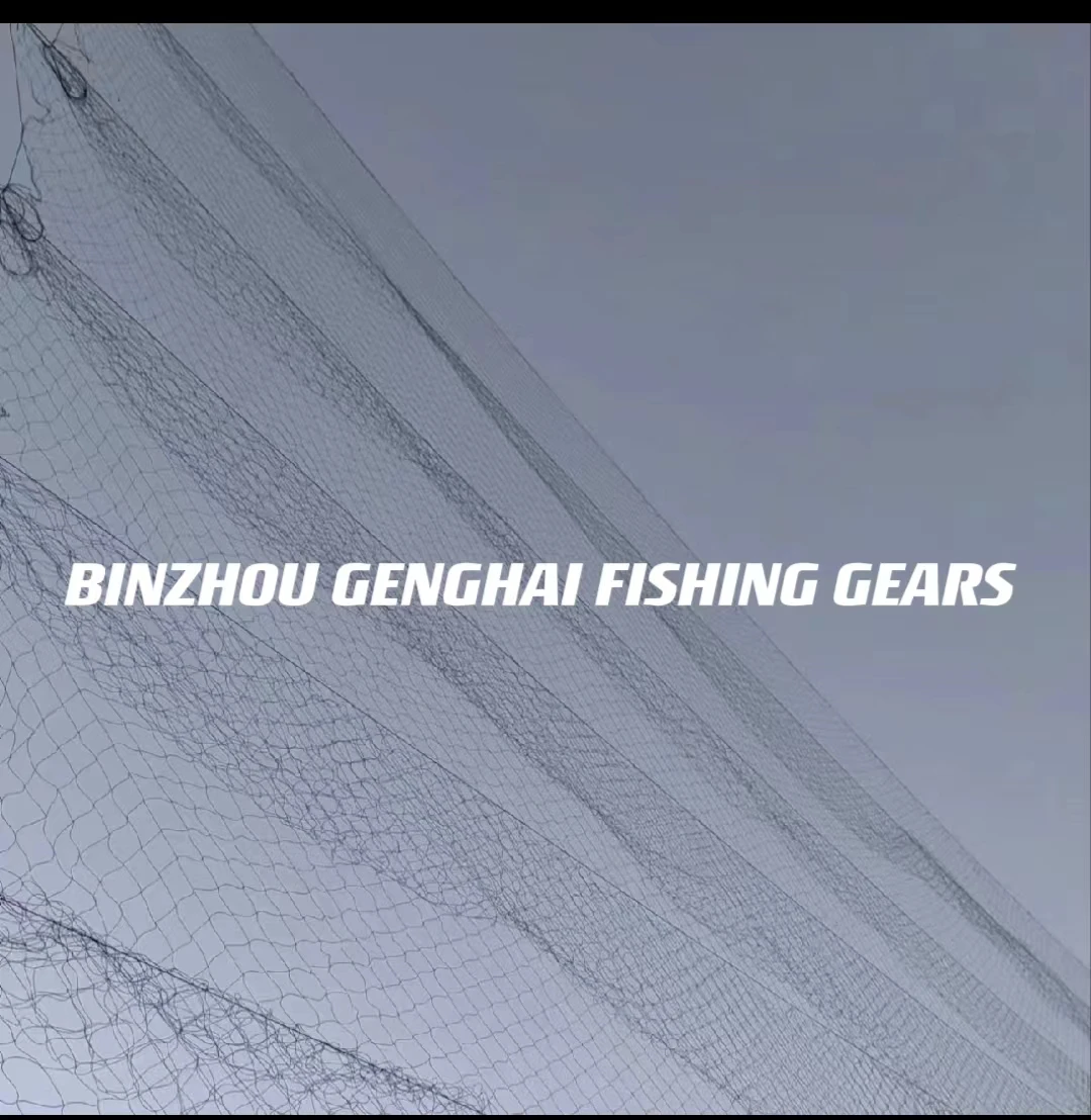 Polyester/nylon Net work to hunt birds Mist Bird Net of bird  catching net