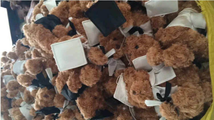 High Quality Custom Logo Plush Bear Graduation Bear With Frame Photo/Free Sample Plush Mold Bear Frame Toy/Graduation Bear