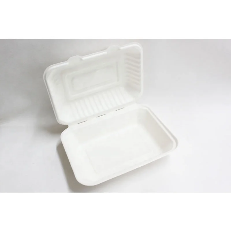 eco friendly lunch box bagasse