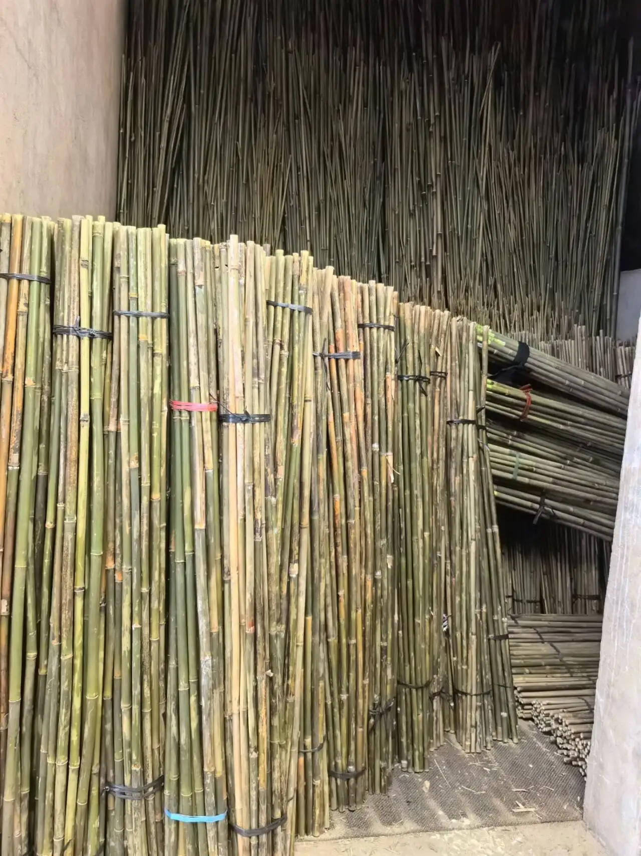 Wholesale Natural Dry Straight Raw  Bamboo plant support