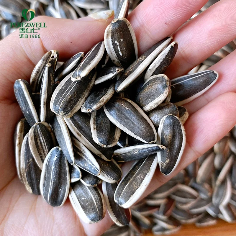 Big size Chinese wholesale home use sunflower seeds sheller bulk sunflower seeds 363