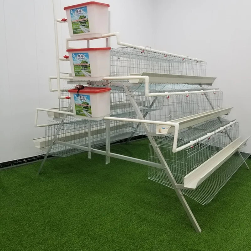 Cheap 4 Tiers 5 Doors 160 Capacity Chicken Layer Cage Price Used For Poultry House