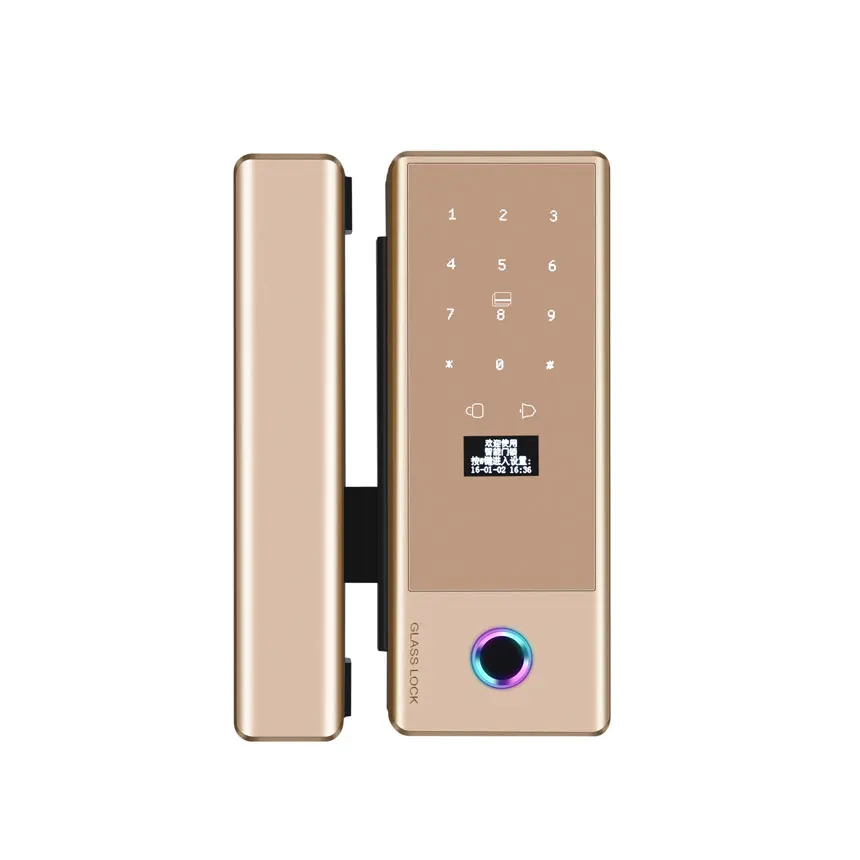 Fingerprint Password Smart Glass Door Lock With App Tuya or TTlock Serrure de porte en verre