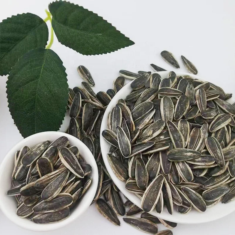Sunflower Seeds Bulk Sunflower Seeds Price of Sunflower Black Seeds