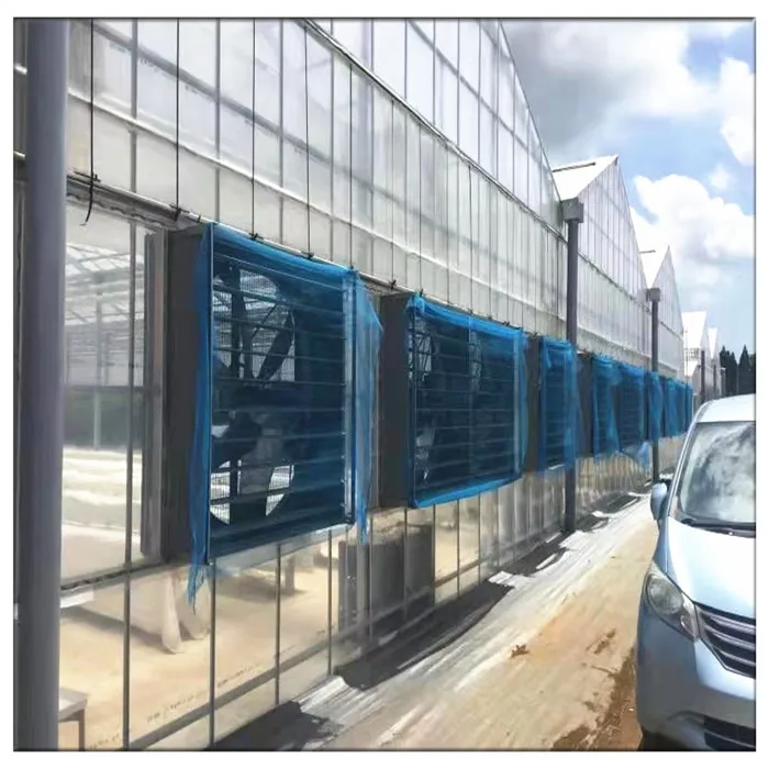 China Factory Commercial Agricultural Vegetable Fruit Flowers Galvanized Steel Frame Polycarbonate Greenhouses