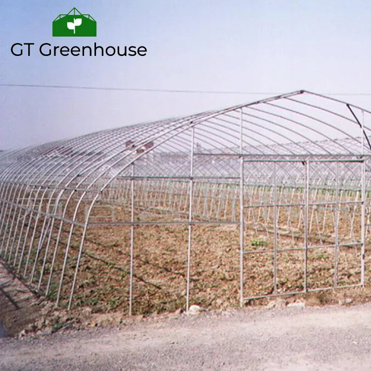Agricultural product plastic house tunnel Greenhouse For Agriculture Invernaderos China