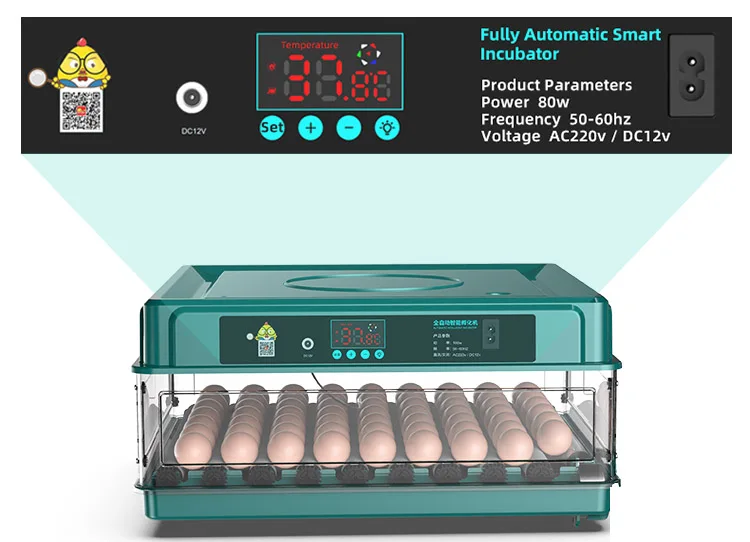 Automatic Temperature Control 48 Eggs Fully Automatic Mini Incubator For Chicken