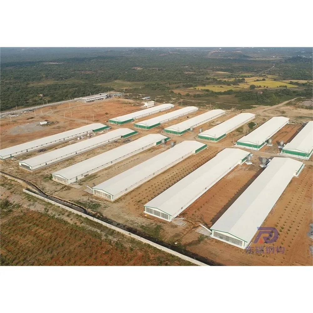 high quality steel structure sheep control shed poultry farming buildding cost in pakistan