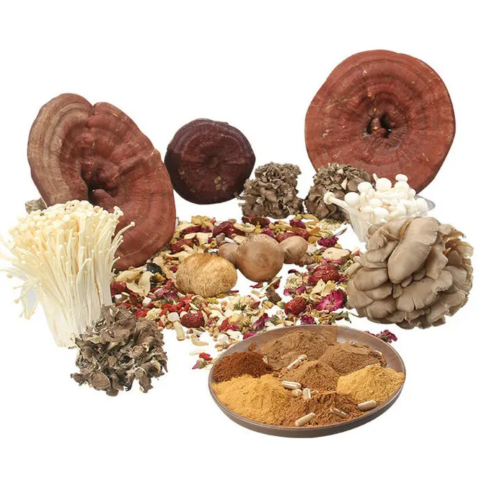 
Shiitake Mushroom Extract Powder Shiitake Mushroom Extract 