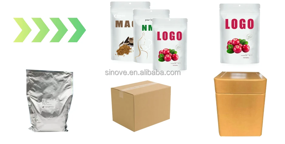High Quality Plant Extract Damiana Leaf Extract Powder Damiana Extract Powder 10:1 20:1 Damiana For Man Health