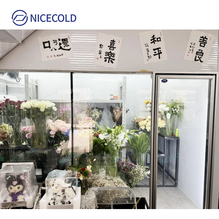 Hot Sale Glass Cold Room Display Walk In Cooler for Flower Florist