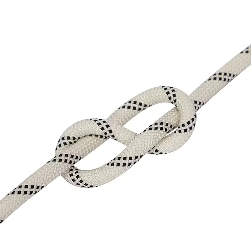 Professional 10.5m Abrasion Resistant Sail Camping Hammock Climb Cord Fishing Static Nylon Braided Rope