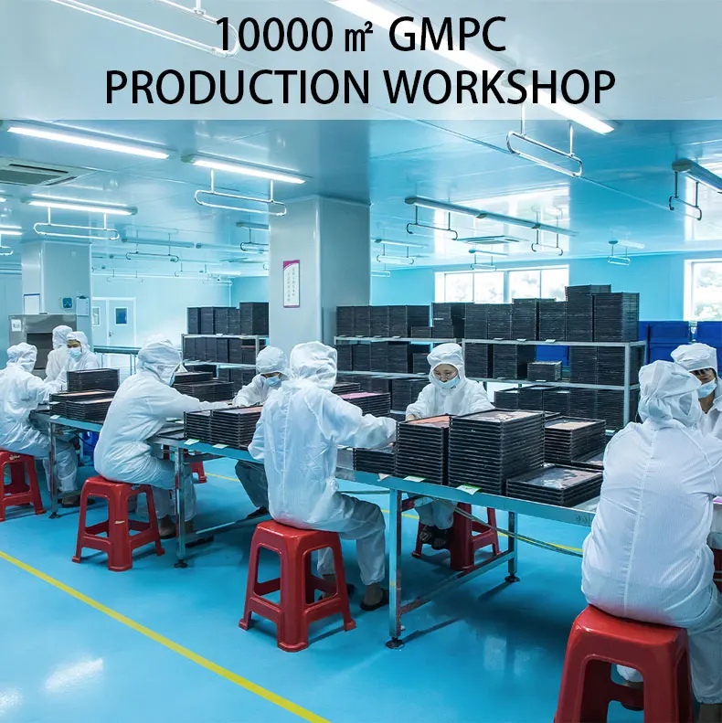 Private Label Factory Transparent Tinted Nourishing Long Lasting Repairing Lightening Lip Lines  Lip Oil Gloss