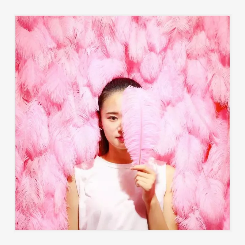 Thin Rod Small Pole 25-30cm 10-12in Ostrich Drab Feather Decor Pink Bulk Ostrich Feather Wall