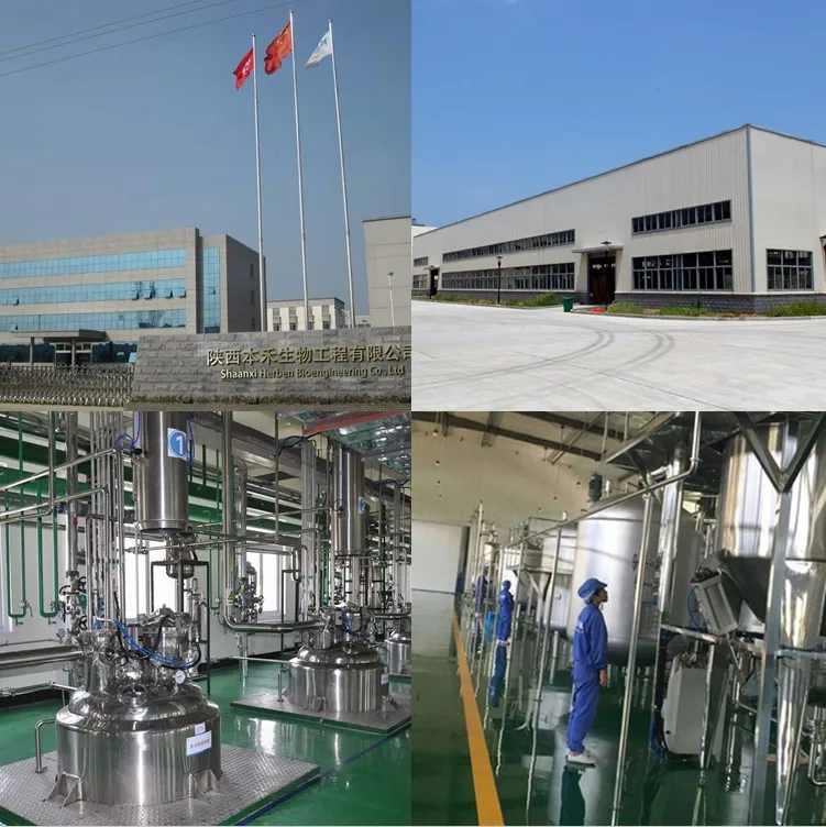 
Top Quality Sea Cucumber Extract Powder Sea Cucumber peptide powder 