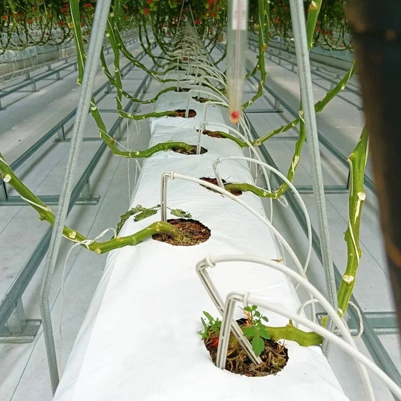 Hydroponic Growing System PVC Nft Channel Pipe Greenhouse Farm Hydroponic growing Kit Vertical Tower Growing System