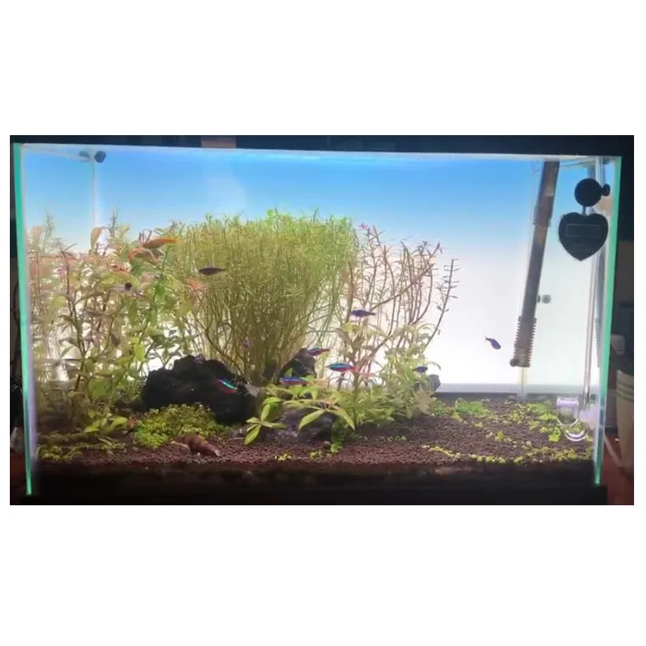 
Edgelight led panel light manufacturer decorative fish tank aquarium lamp background lighting 