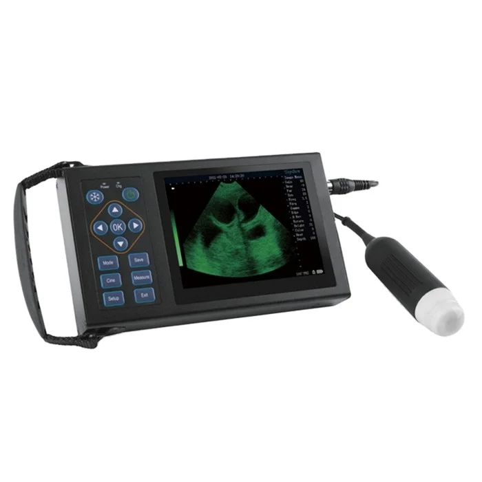 BR-VET2 VET Used Health Portable Handheld Professional Animals Palm Full-Digital Veterinary Ultrasound Machine System Price